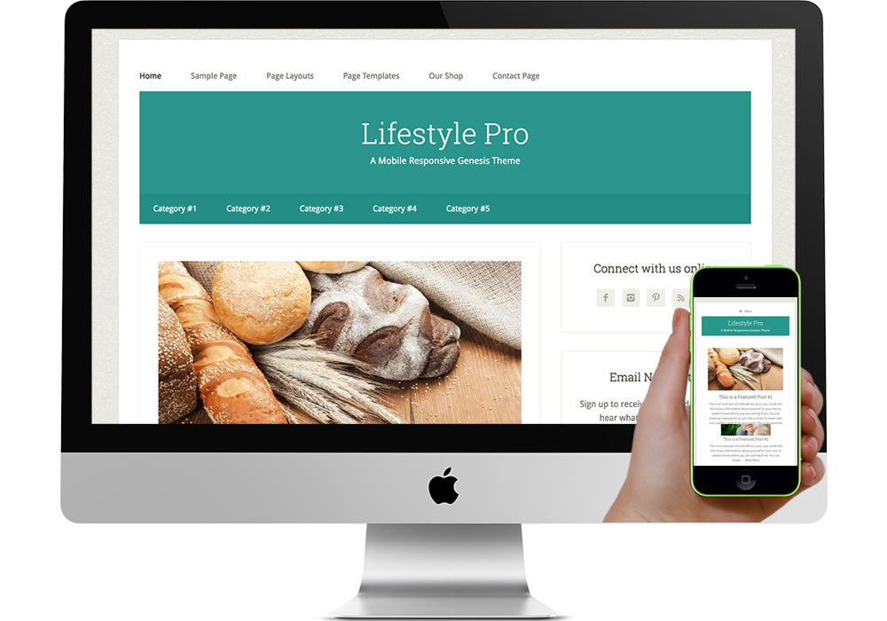 Lifestyle Pro WordPress Website